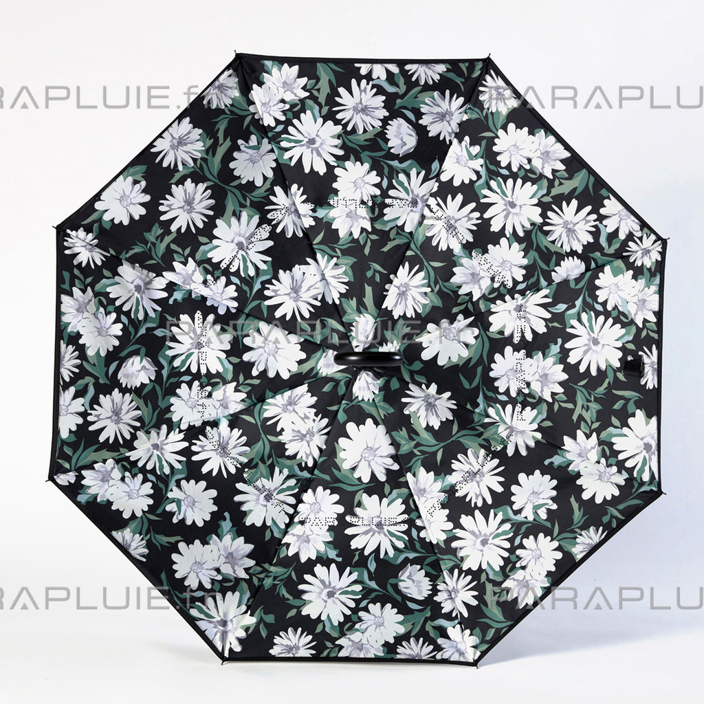 Daisy Life (Ref1611)