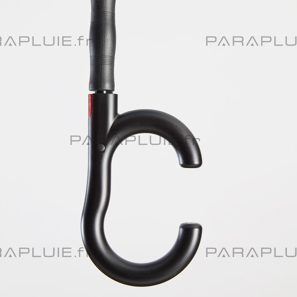 Daisy Life (Ref1611)